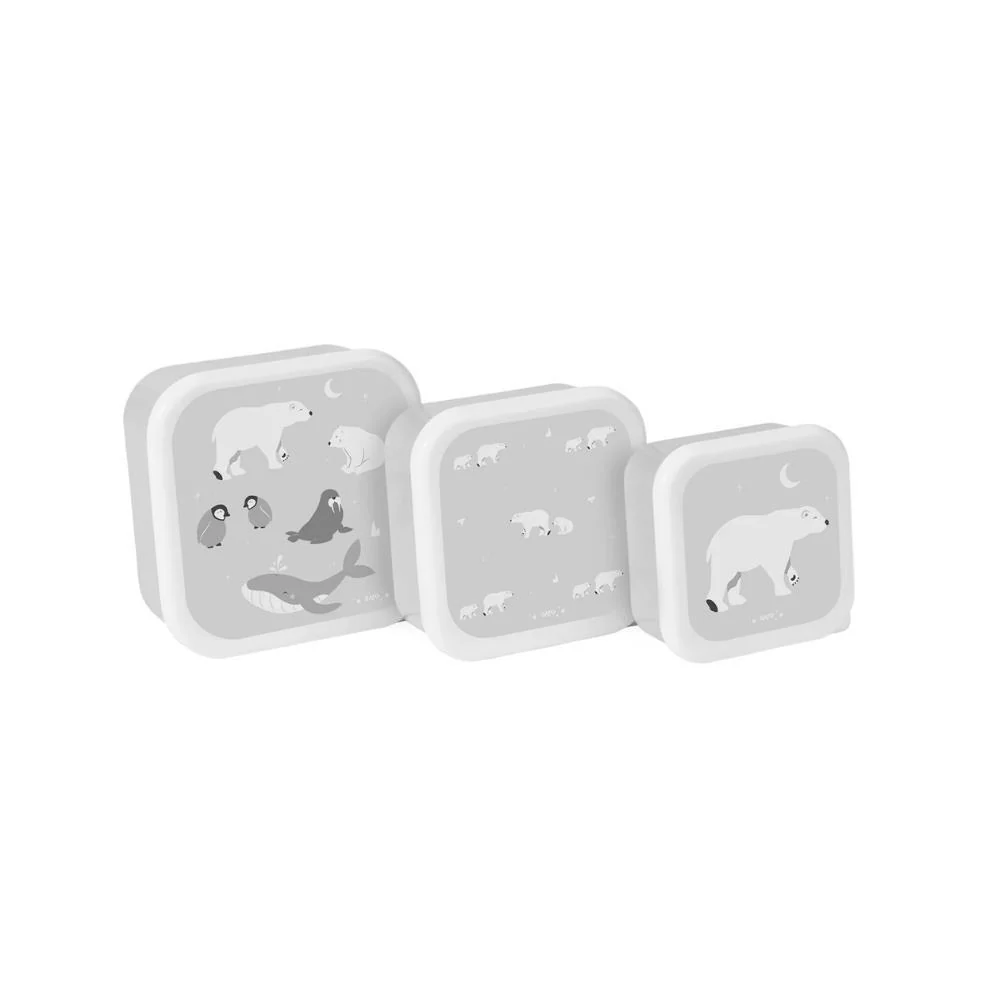 3 Caixas Lancheira Saro Polaris Cinza