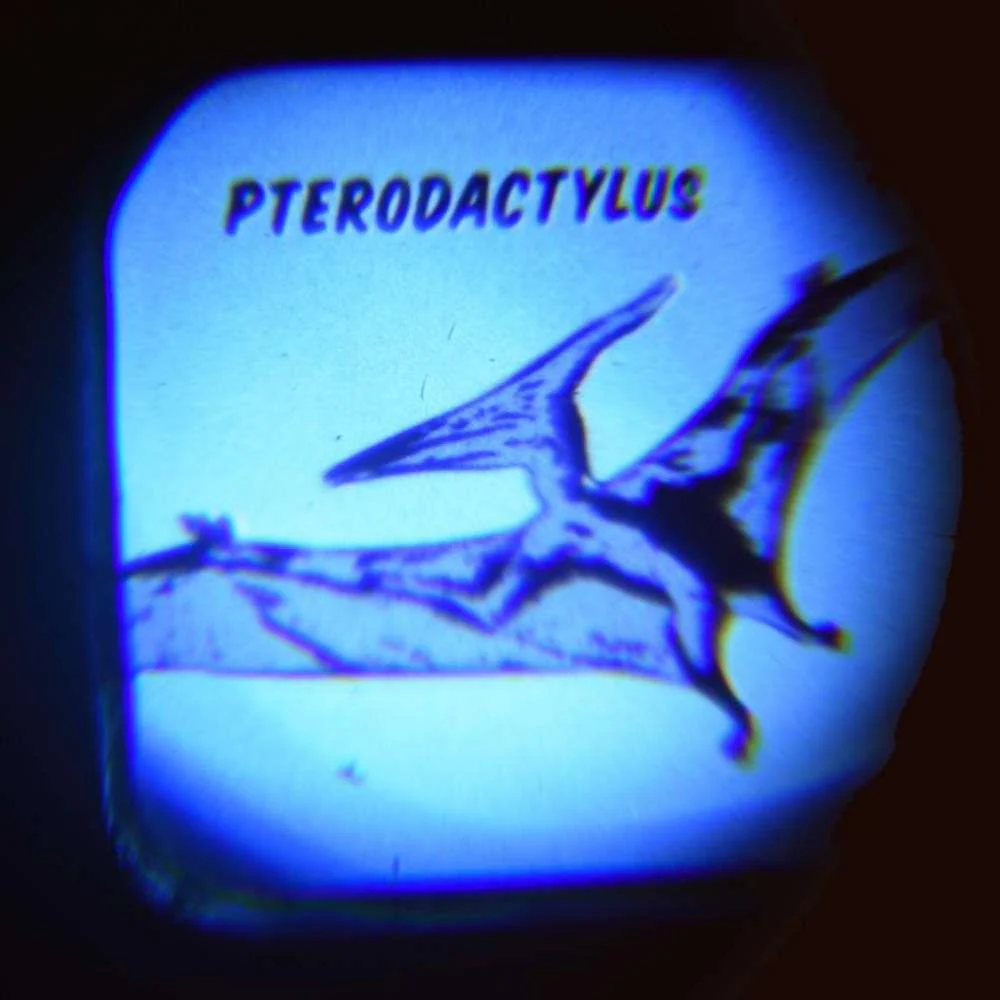 Lanterna Projetora Rex London Prehistoric Land com 2 Discos/16 Imagens - Image 4