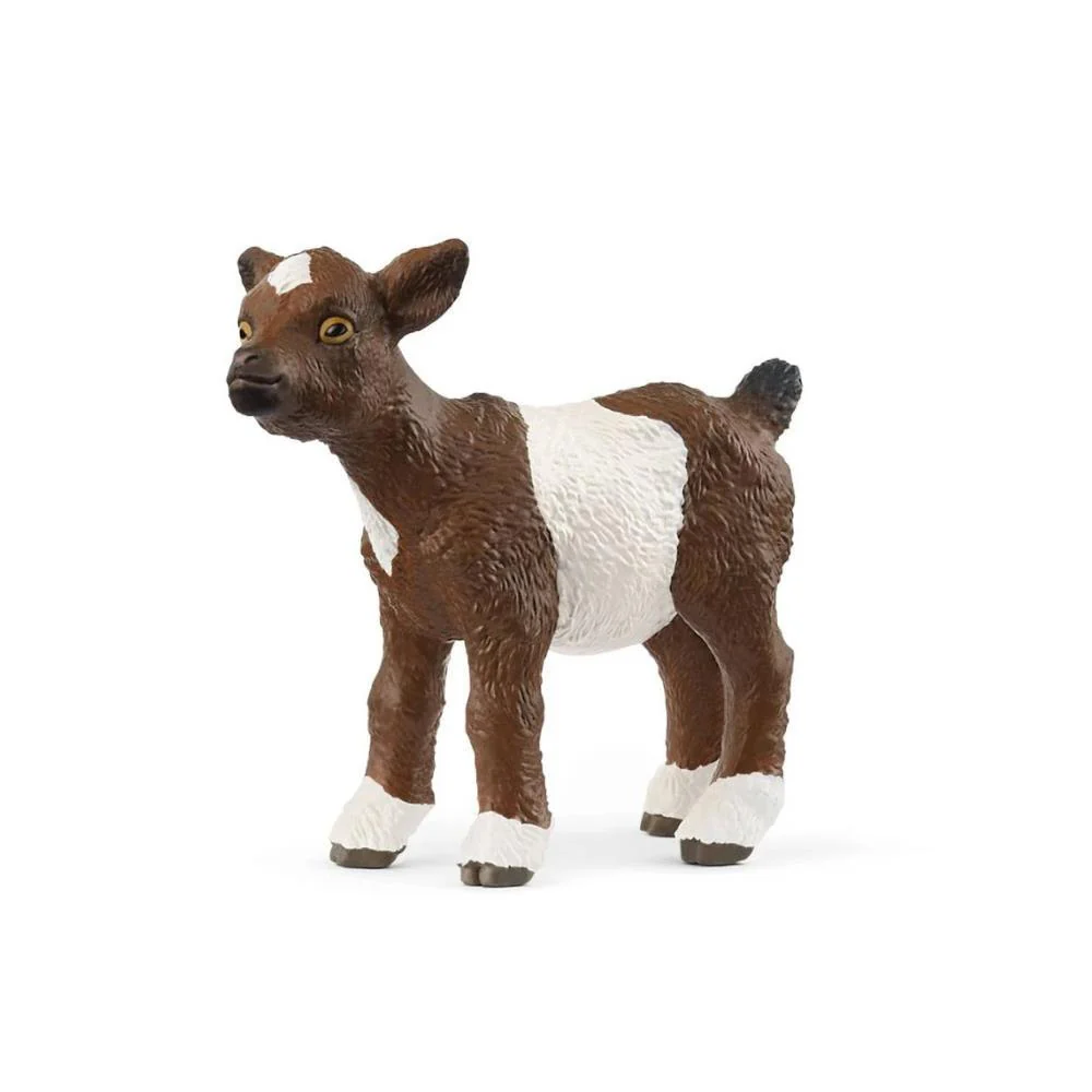 Cabrito Malhado