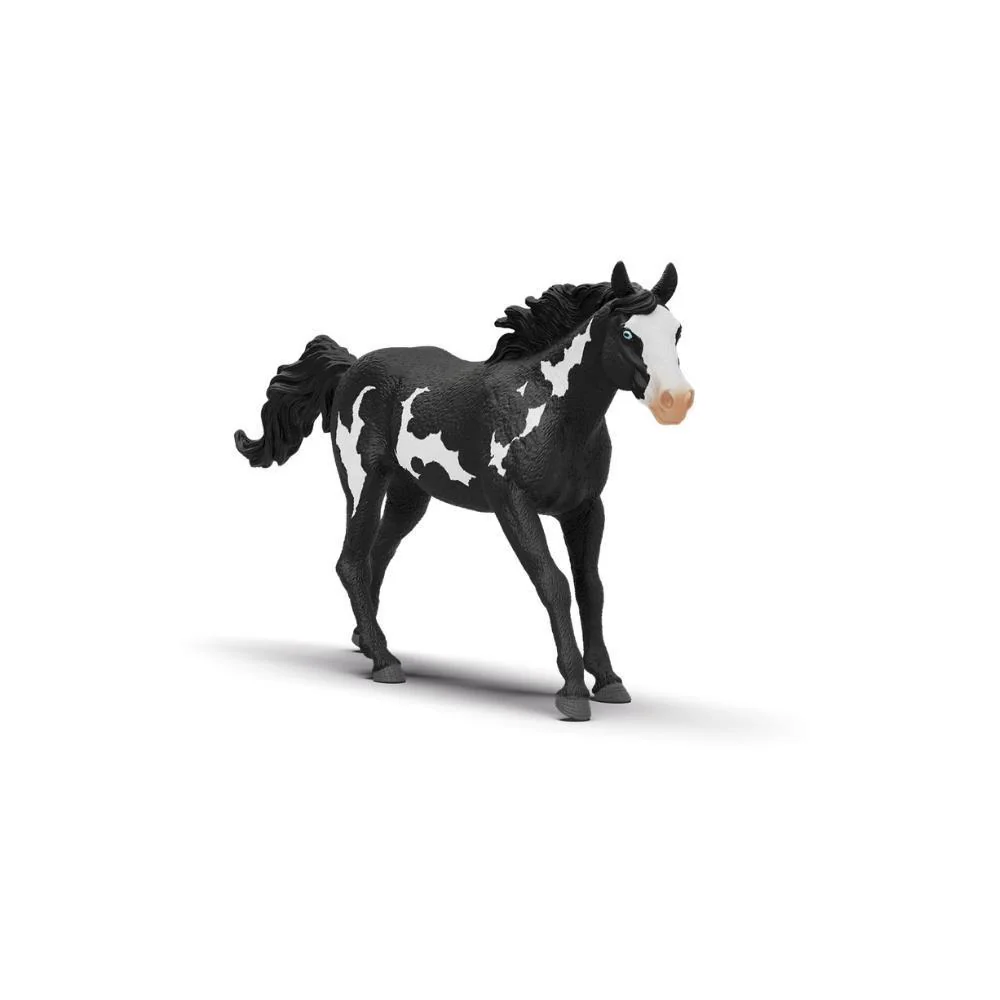 Cavalo Capão