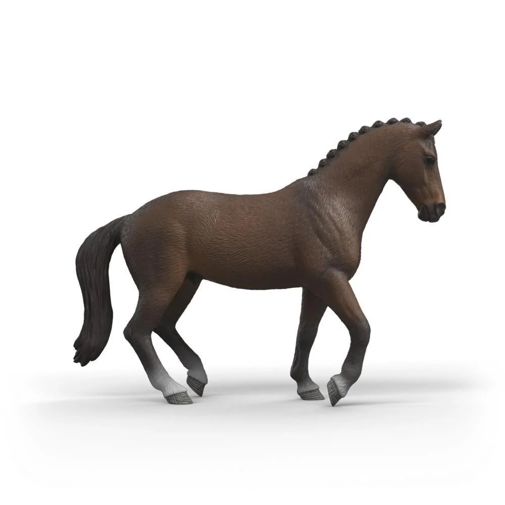 Cavalo Holandês KWPN - Image 2