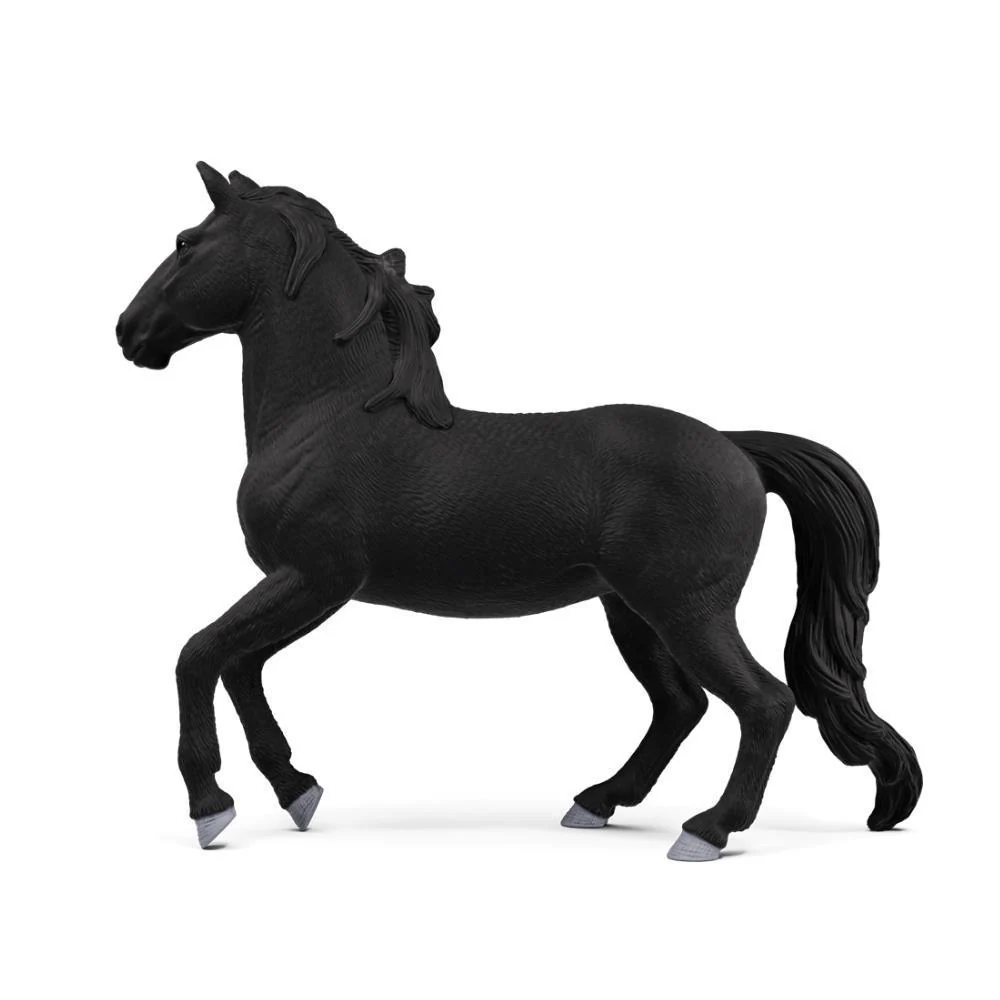 Cavalo Lusitano - Image 2