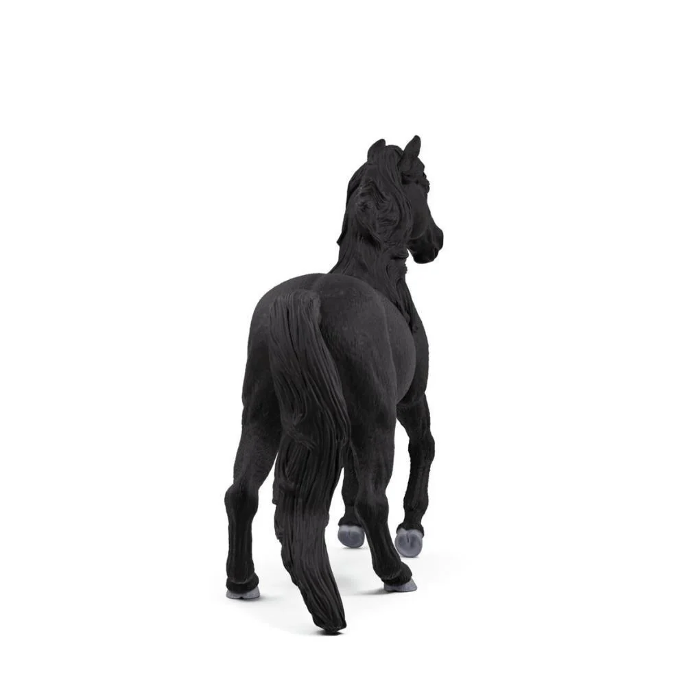 Cavalo Lusitano - Image 4