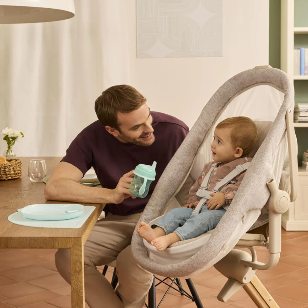 Chicco Baby Hug Armonia 4em1 Scandinavian - Image 10