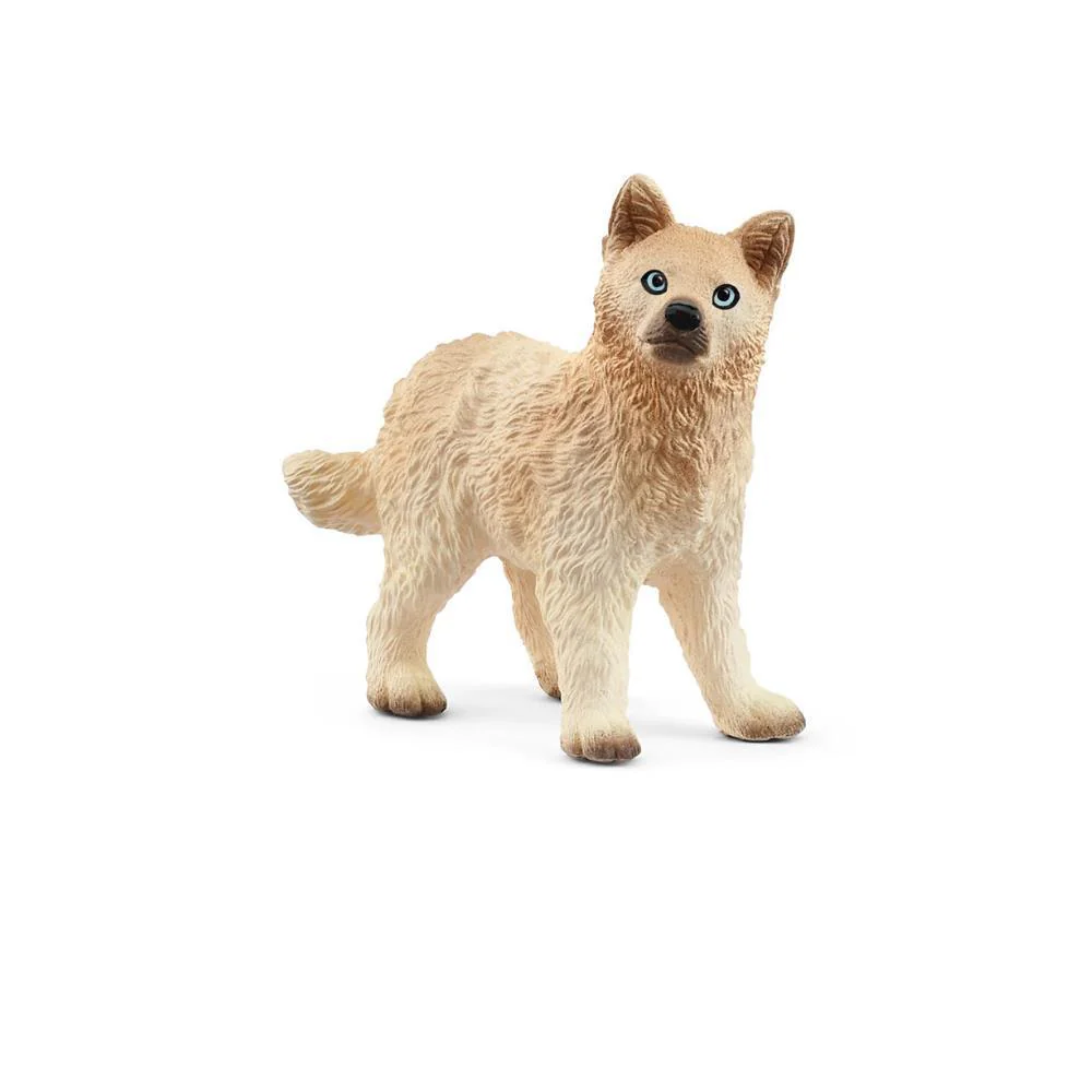 Cria de Lobo-do-Ártico