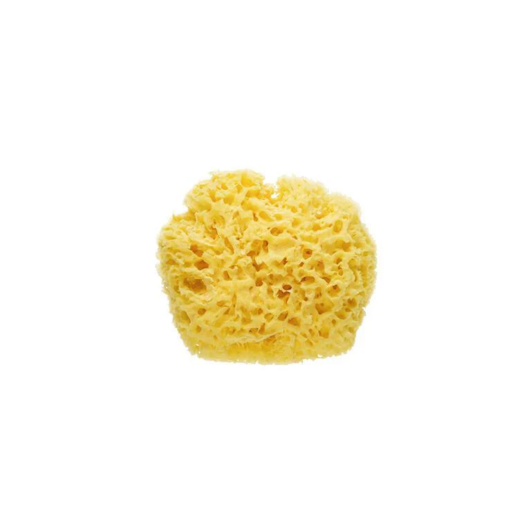 Esponja Natural Saro