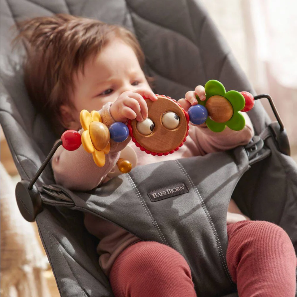Espreguiçadeira BabyBjörn Bliss Petal Anthracite + Brinquedo Googly Eyes - Image 15