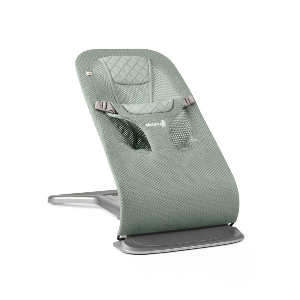 Forra para Espreguiçadeira Ergobaby Evolve Mesh Sage - Image 5