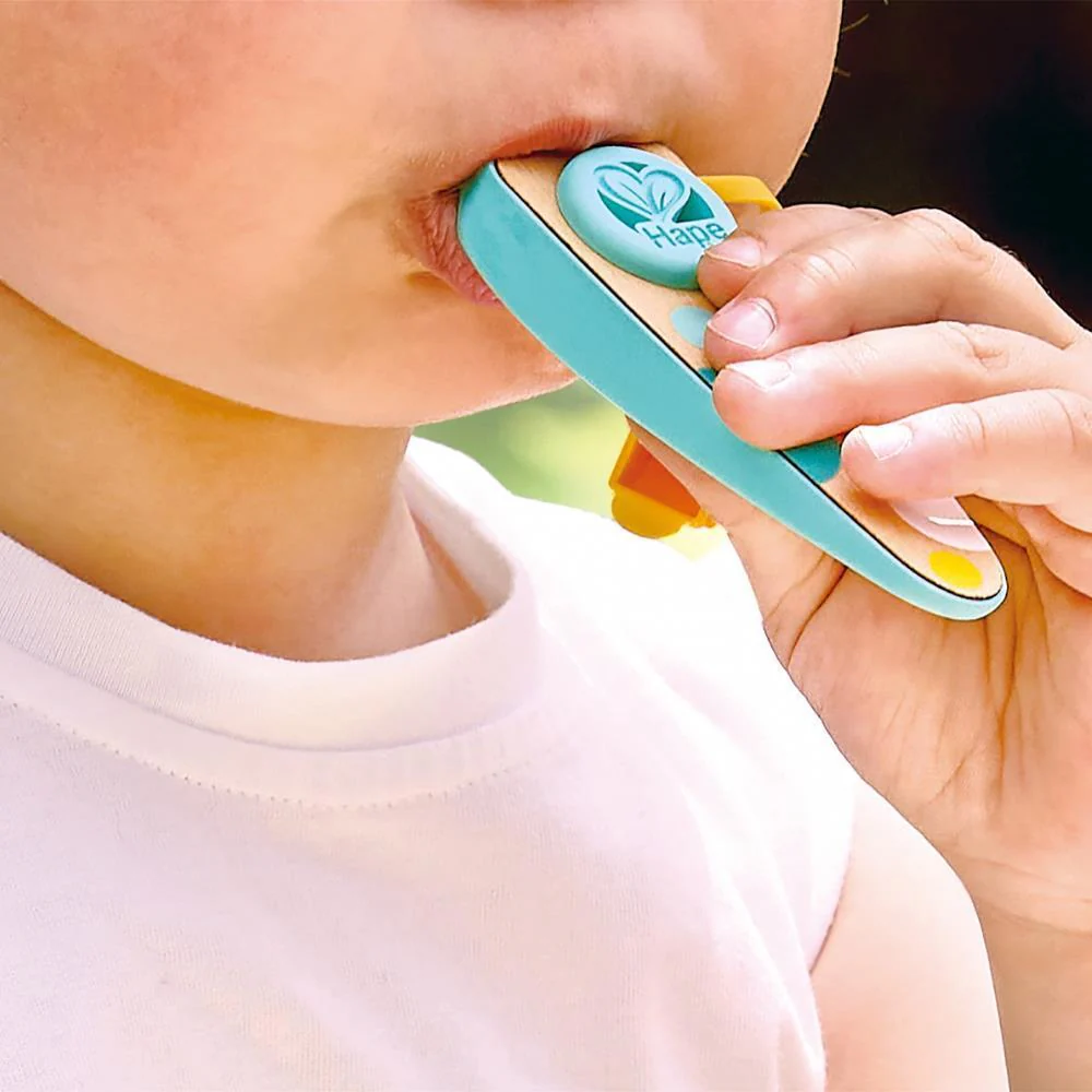 Hape Kazoo Rhythm & Hum - Image 4