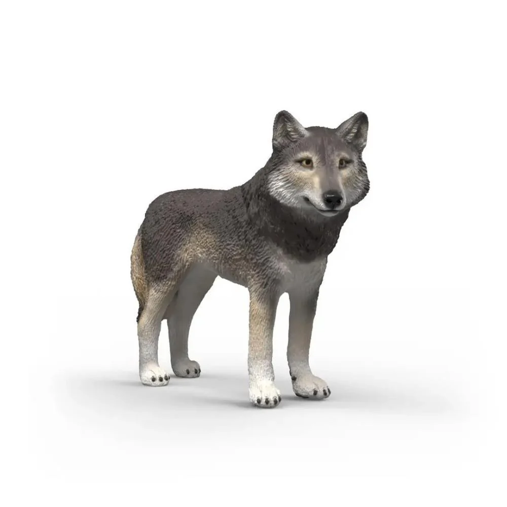 Lobo Americano