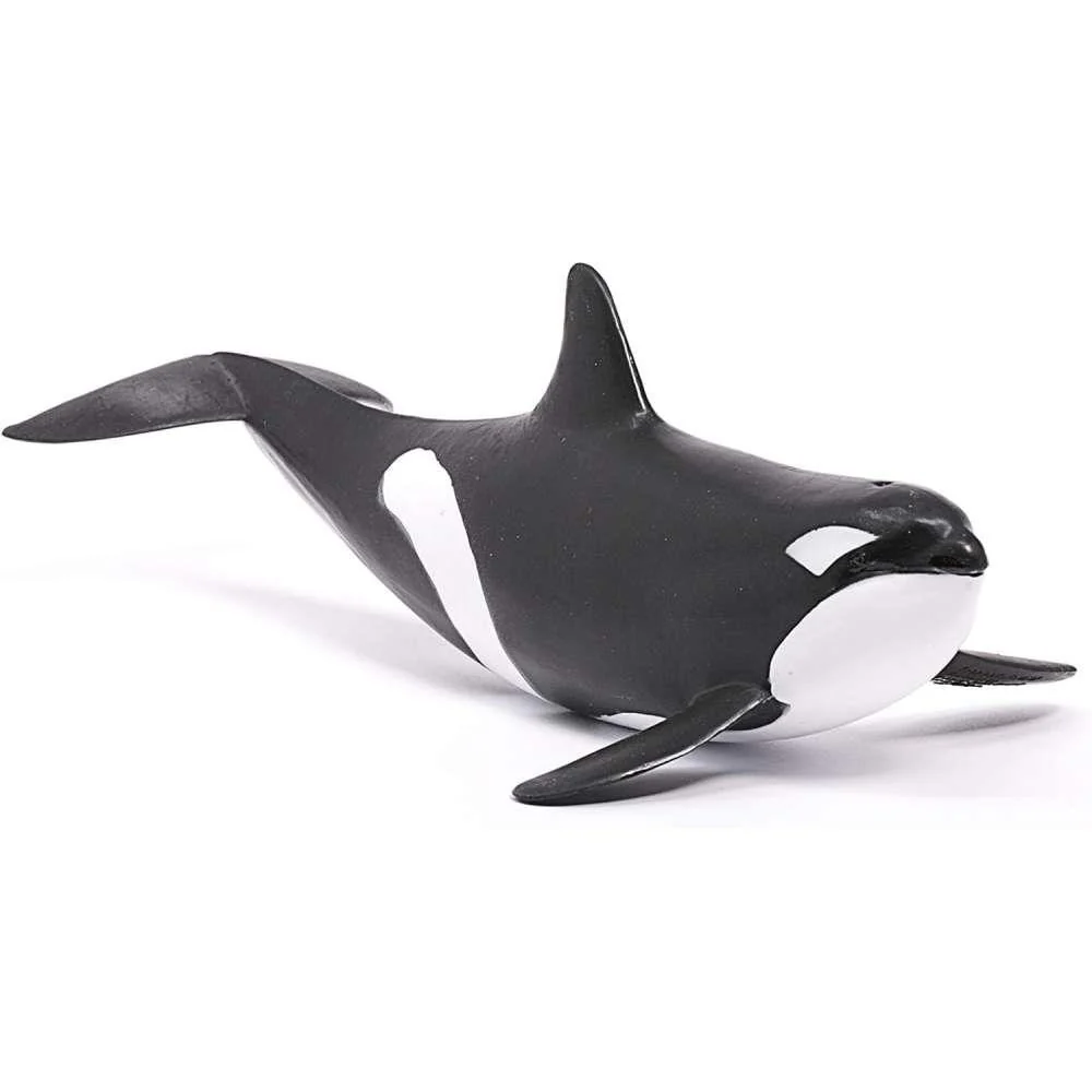 Orca - Image 2