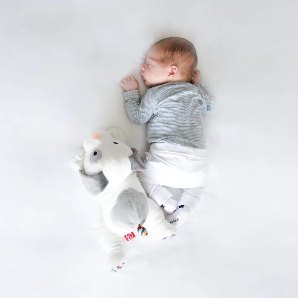 Peluche Musical Soft Zazu Dex the Dog - Image 5
