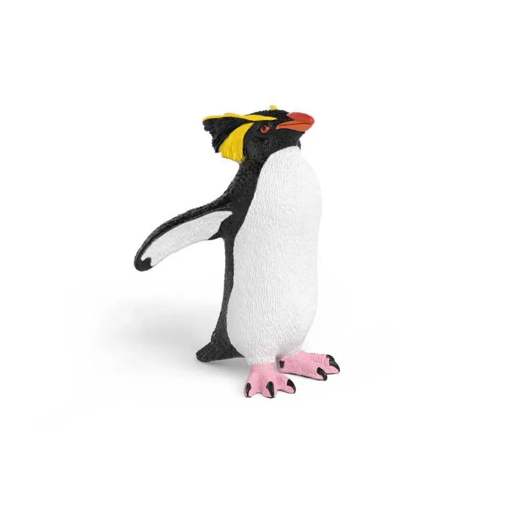 Pinguim Saltador de Rochas com Crista Amarela