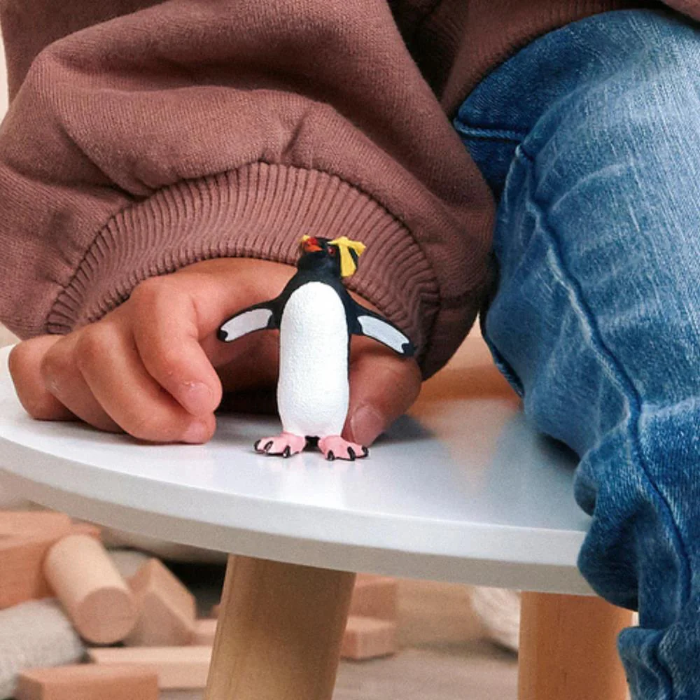 Pinguim Saltador de Rochas com Crista Amarela - Image 3