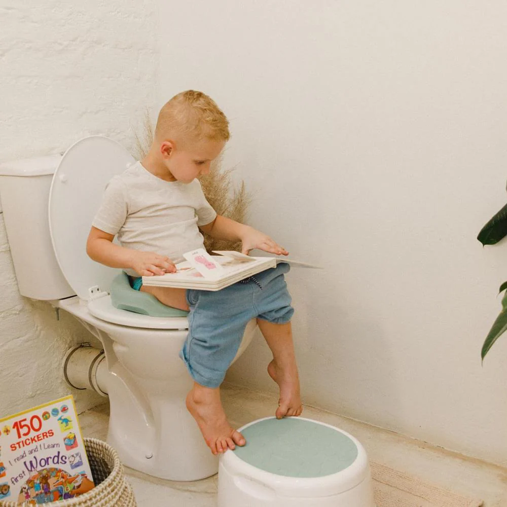 Redutor de Sanita Toilet Trainer Hemlock - Image 3