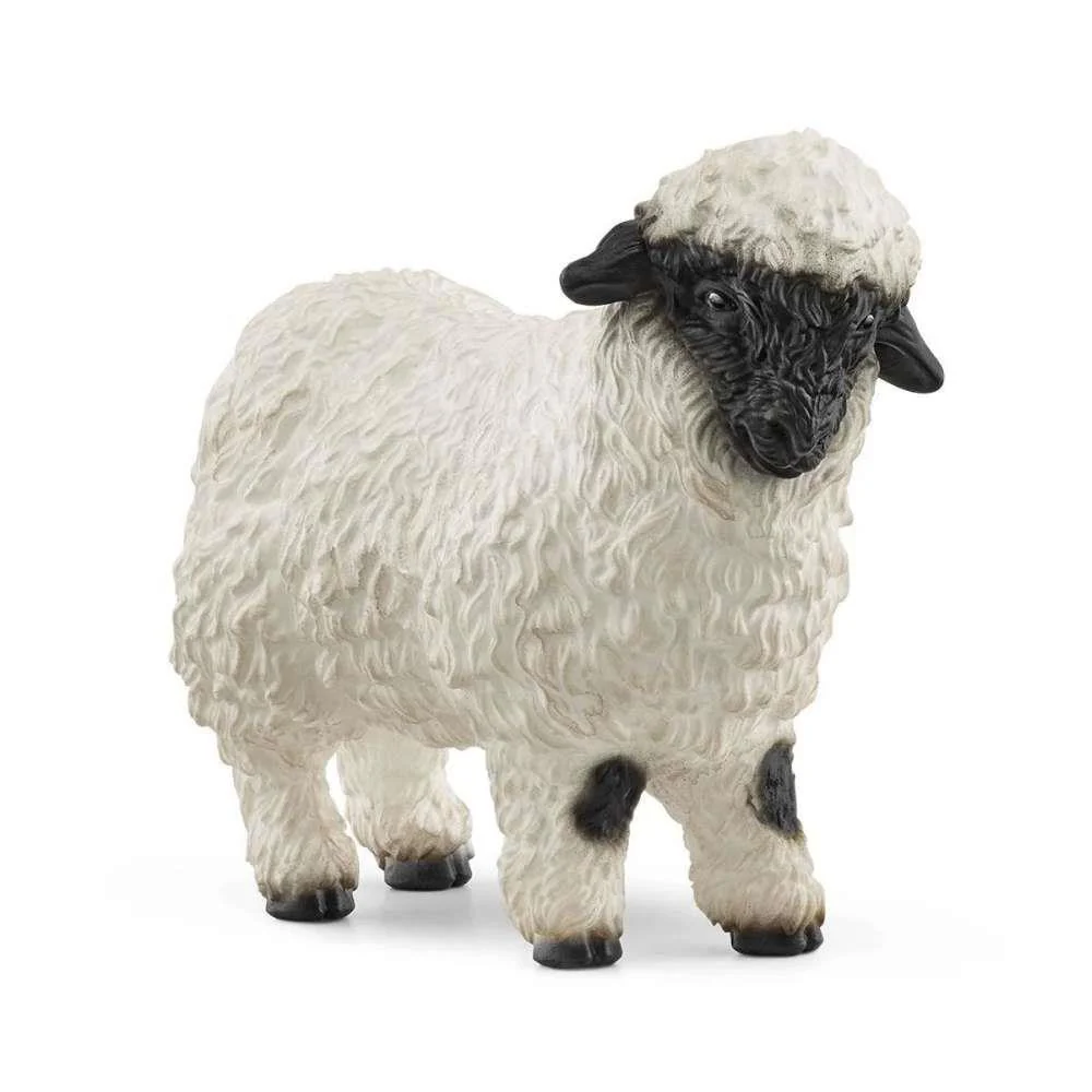 Ovelha de Nariz Preto de Valais