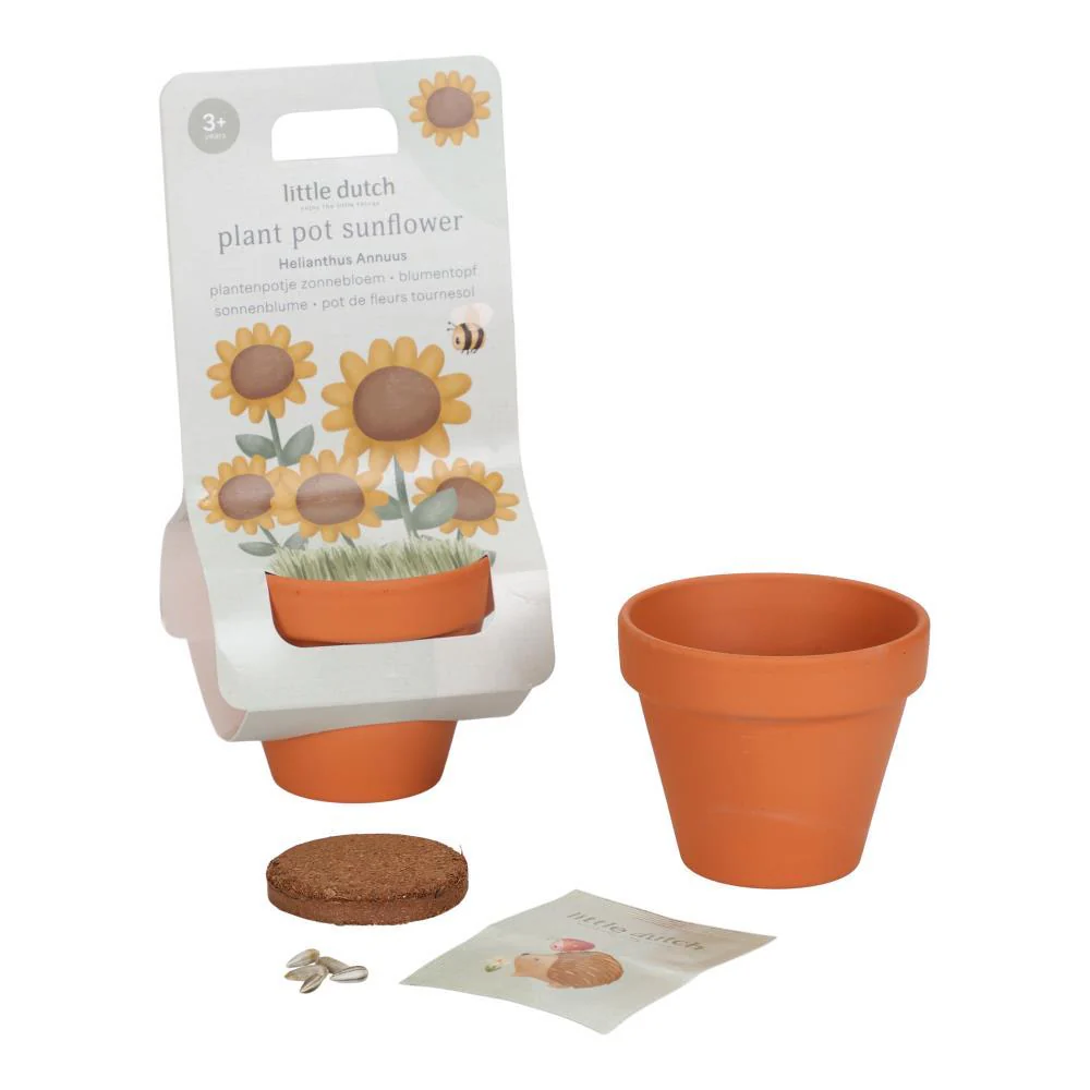 Vaso com Sementes de Girassol Little Dutch Forest Friends - Image 2