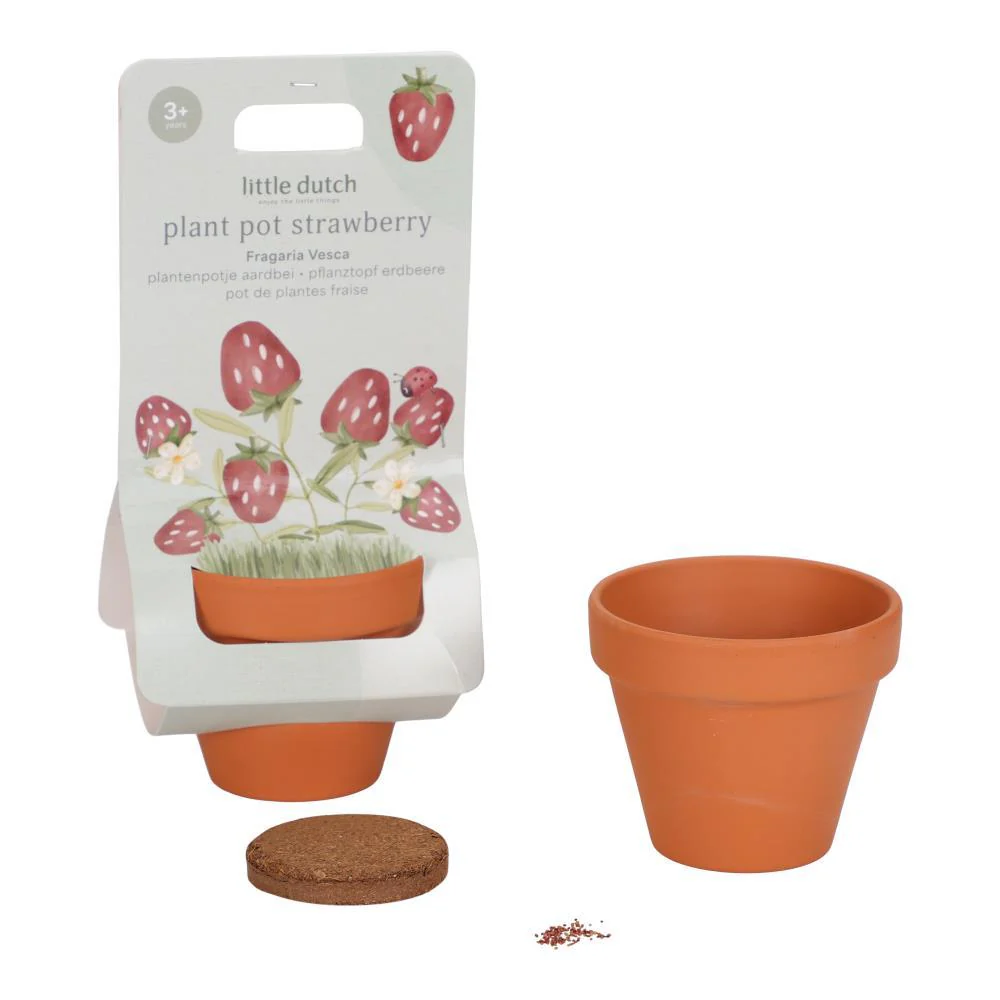 Vaso com Sementes Morango Little Dutch Forest Friend - Image 3
